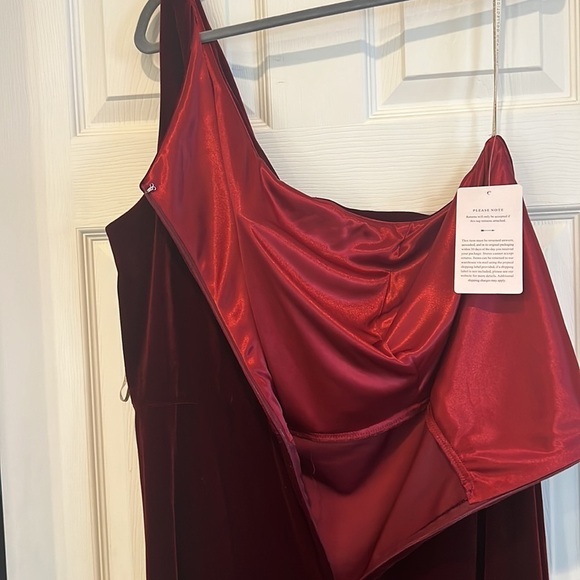 Size 26 velvet dress dark berry by Jenny Yoo - Picture 7 of 9